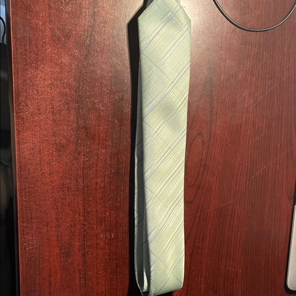 Brand New Men's Light Green Diagonal Pattern Tie - Unbranded